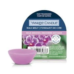 YC WAX MELT SINGLE WILD ORCHID