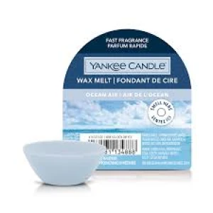 YC WAX MELT SINGLE OCEAN AIR